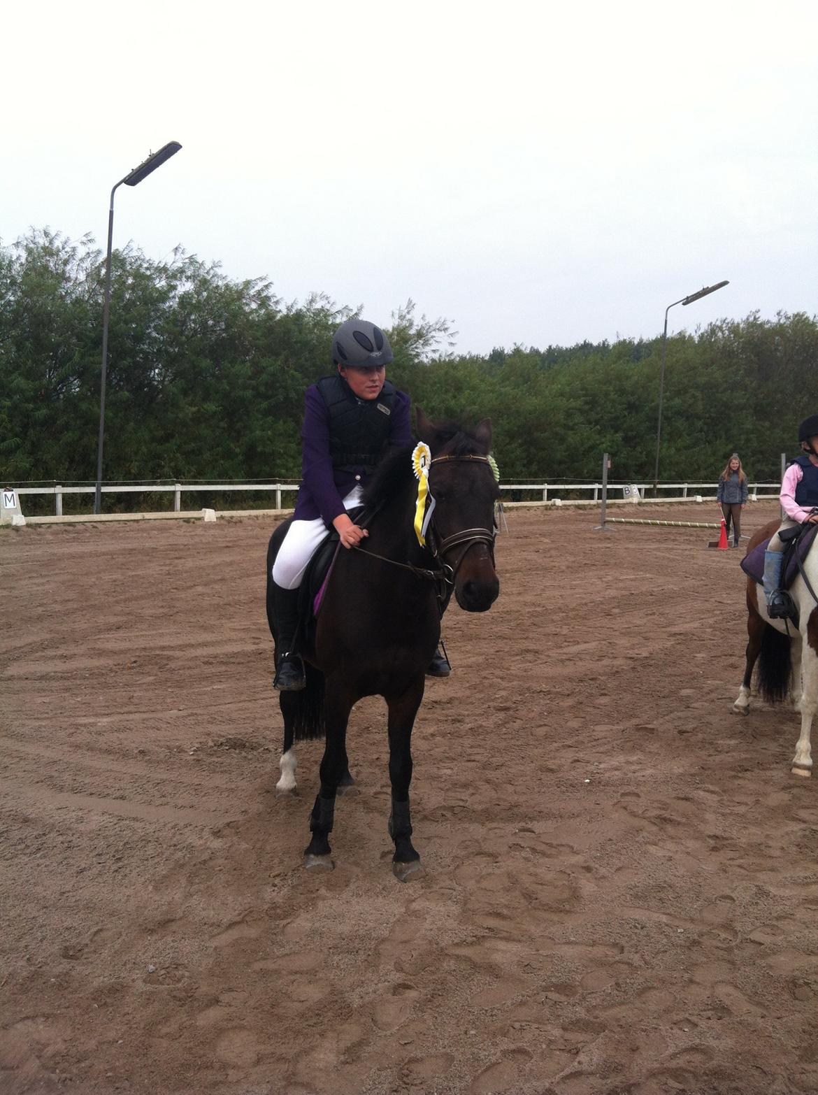 Anden særlig race Kompis Min Ven billede 1