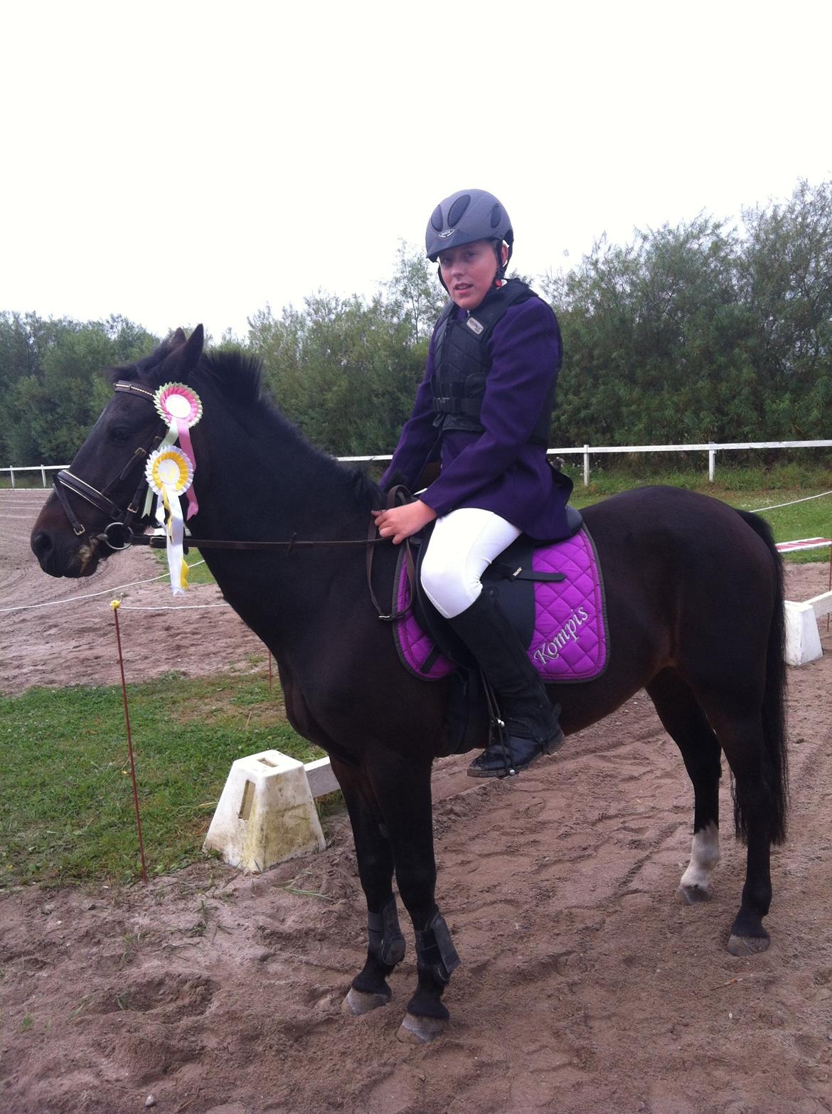 Anden særlig race Kompis Min Ven billede 2