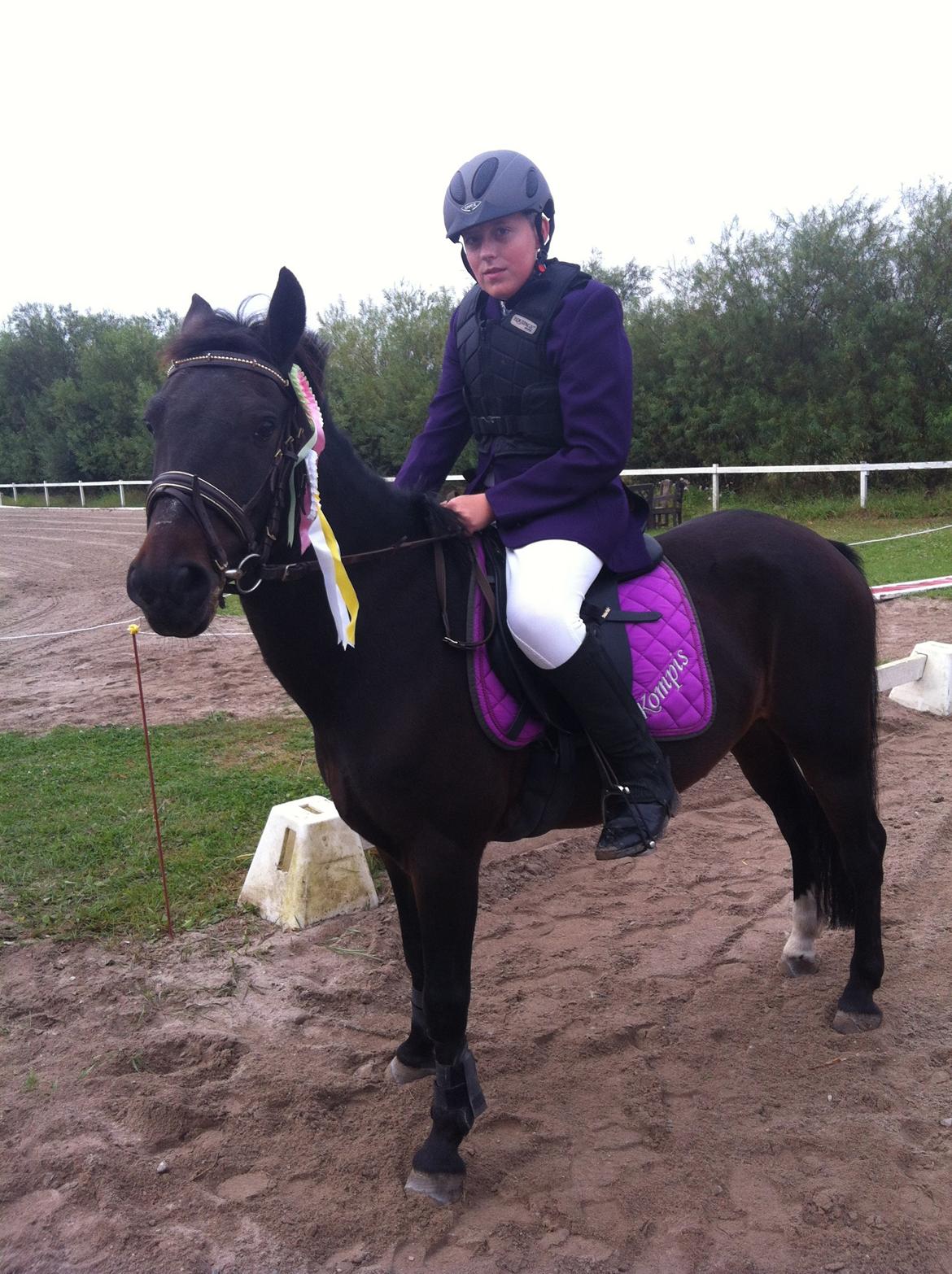 Anden særlig race Kompis Min Ven billede 3