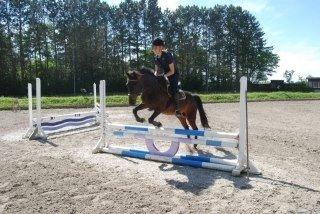 Anden særlig race Kompis Min Ven billede 4