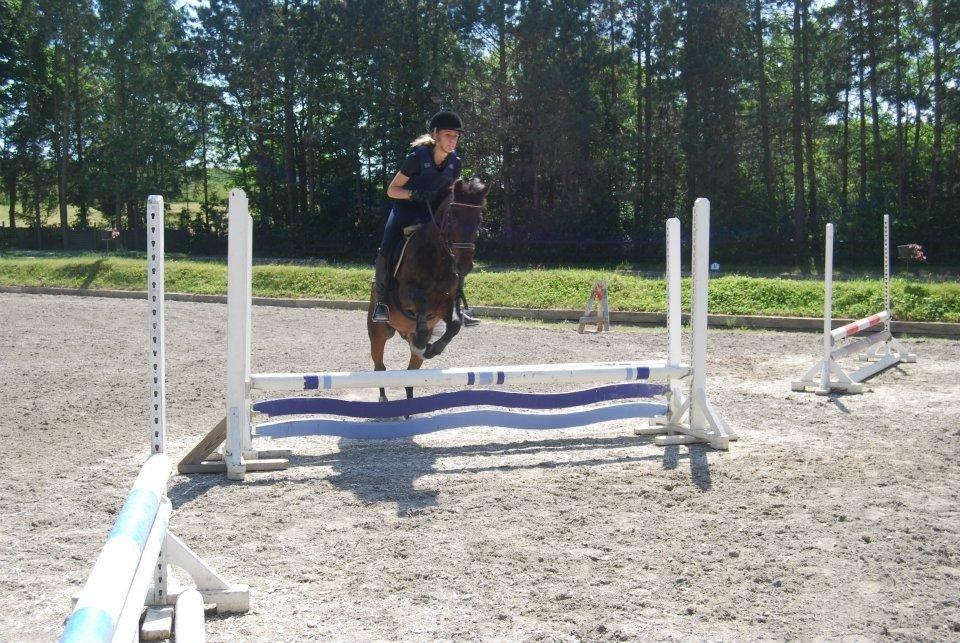 Anden særlig race Kompis Min Ven billede 5