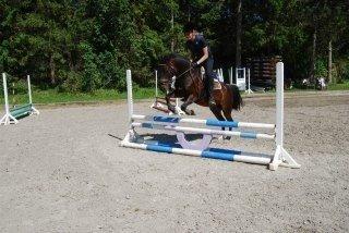 Anden særlig race Kompis Min Ven billede 6