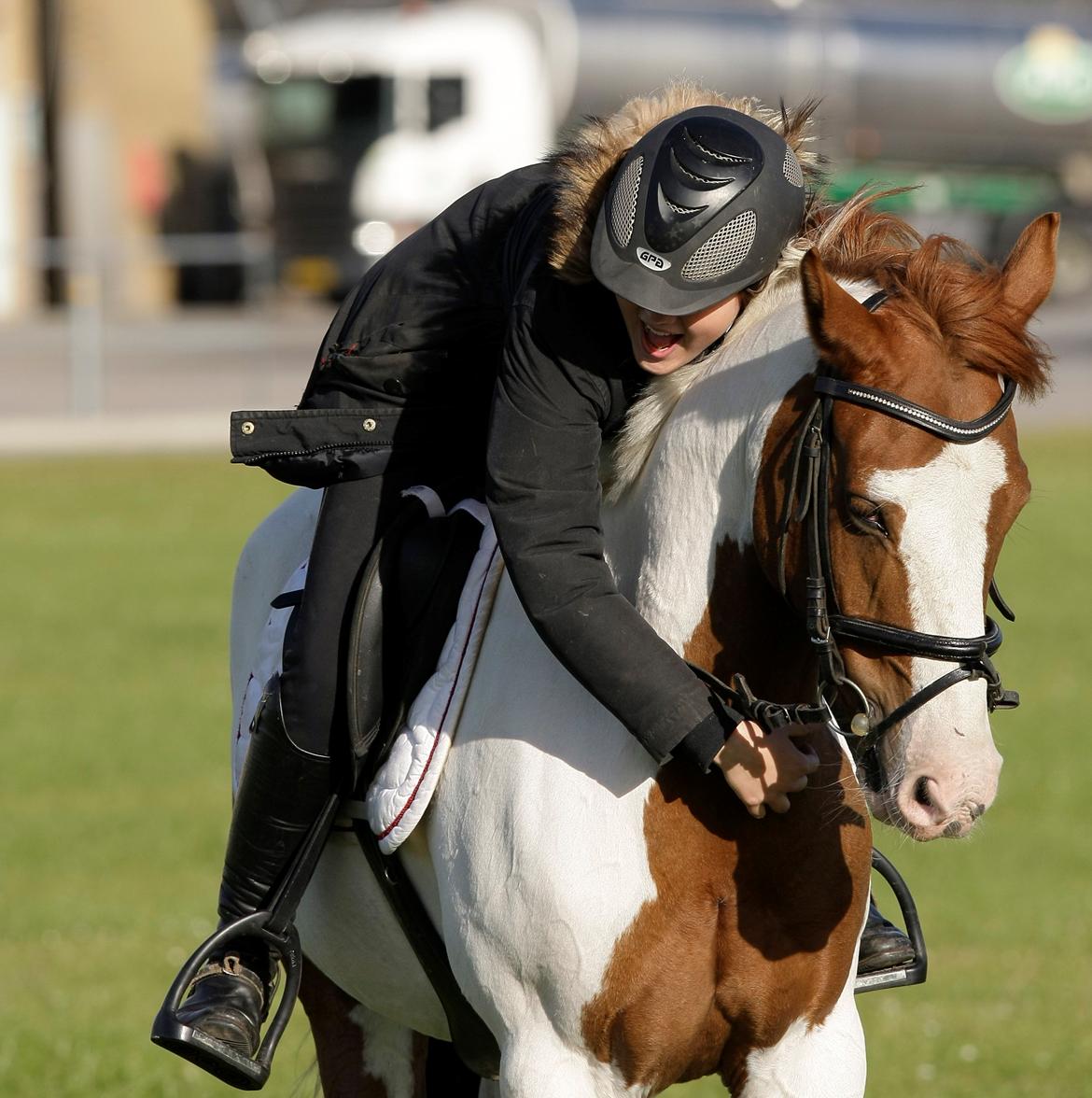 Hollandsk Sportspony Zwier - verdens aller bedste pony! billede 1