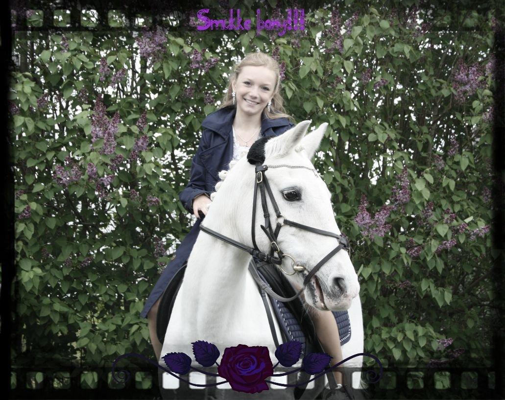 Anden særlig race cirkeline - før du giver slip, så husk hvorfor du holdt fast! <3 billede 9