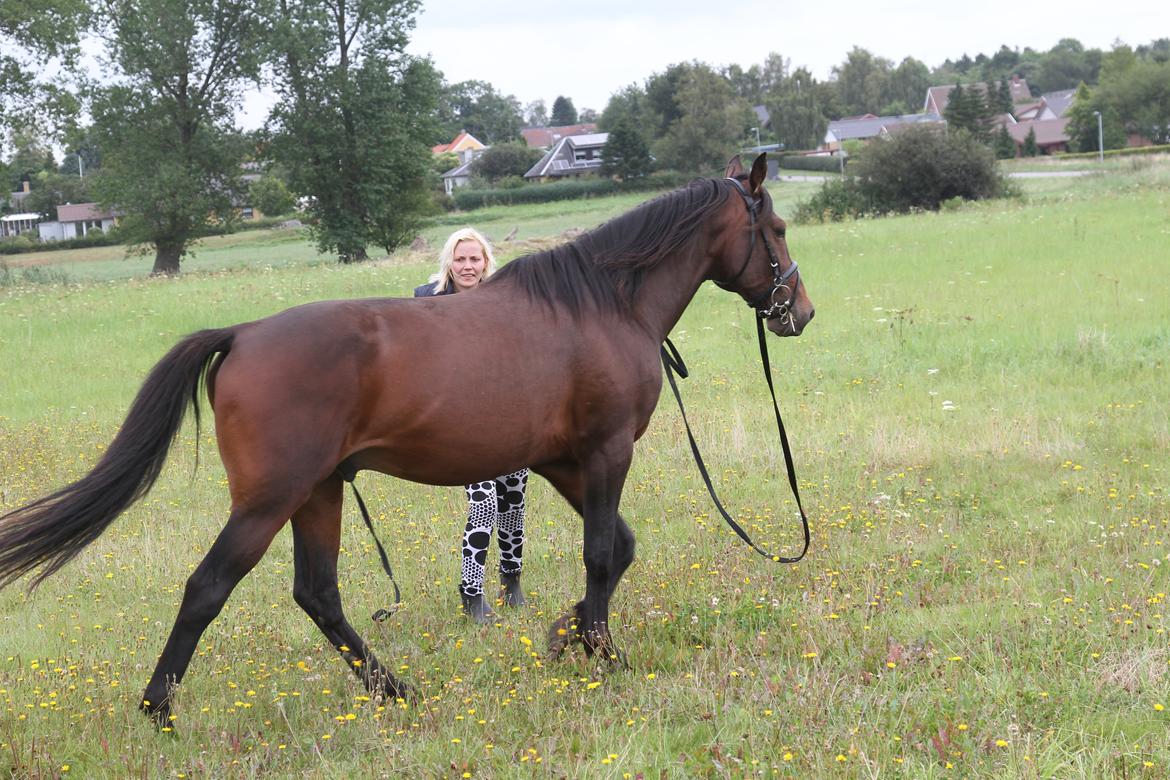 Traver No Joe billede 10