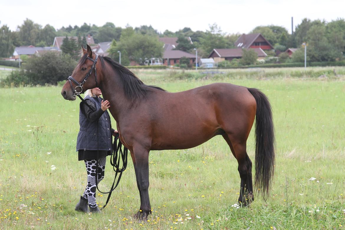 Traver No Joe billede 11