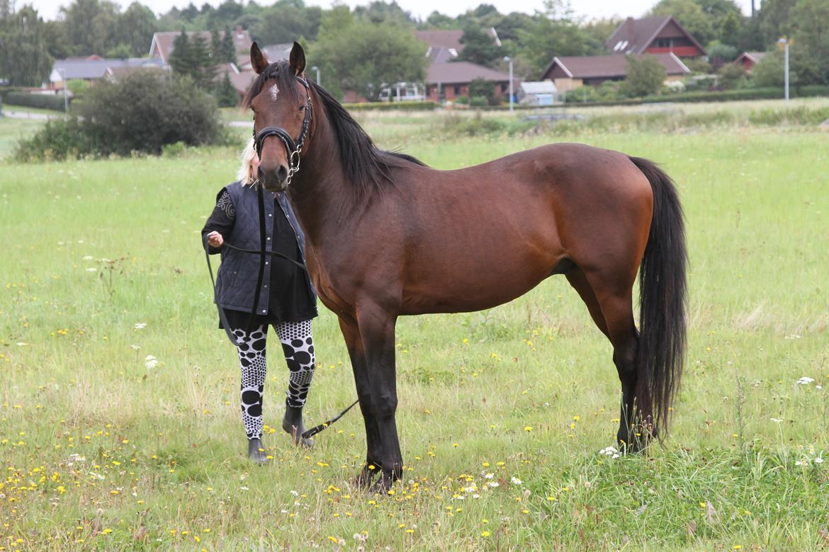 Traver No Joe billede 1