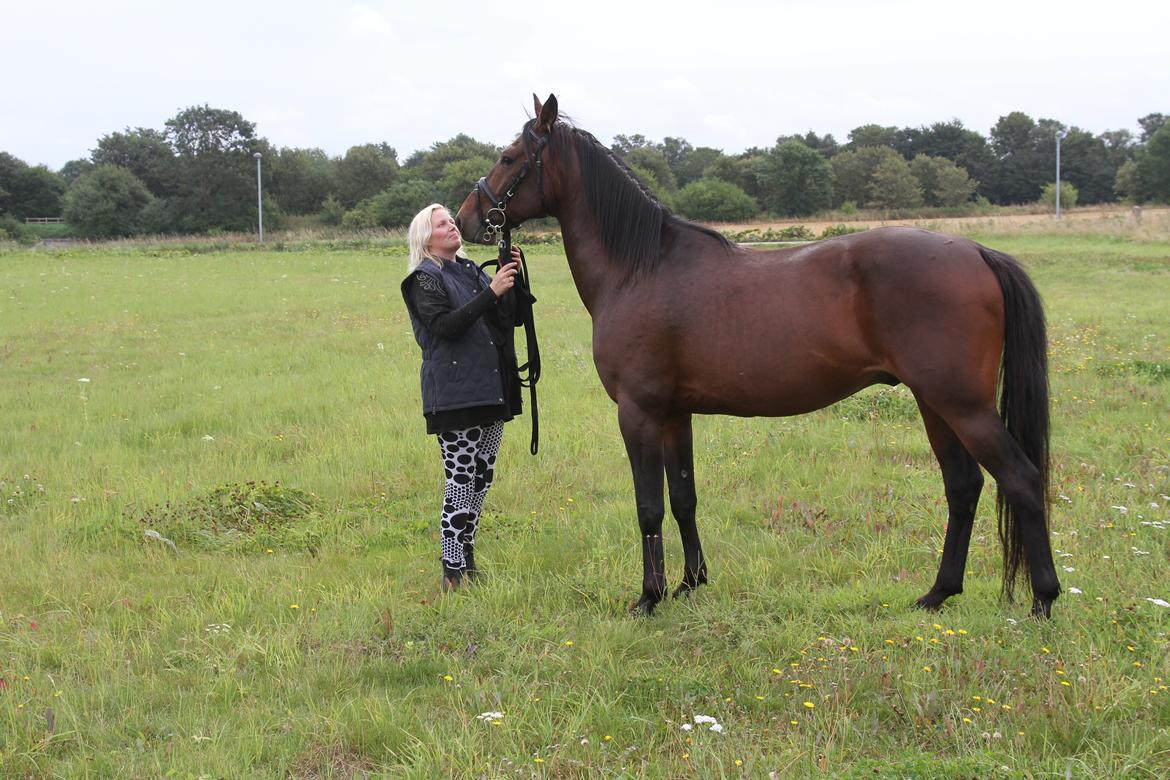 Traver No Joe billede 13