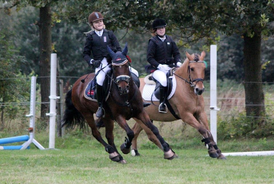 New Forest wiechhofs ravamoon - whuhuu! 1 plads i LA! :D billede 7