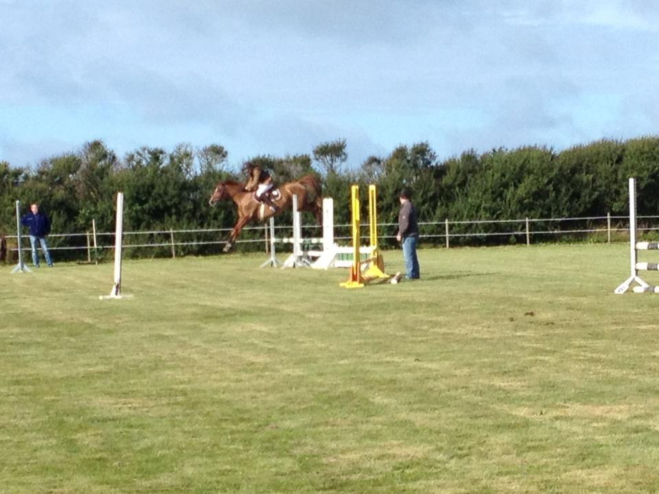 Arabisk fuldblod (OX) GKV`S Cassanova <3  - casa i flyvende stil<3 billede 7