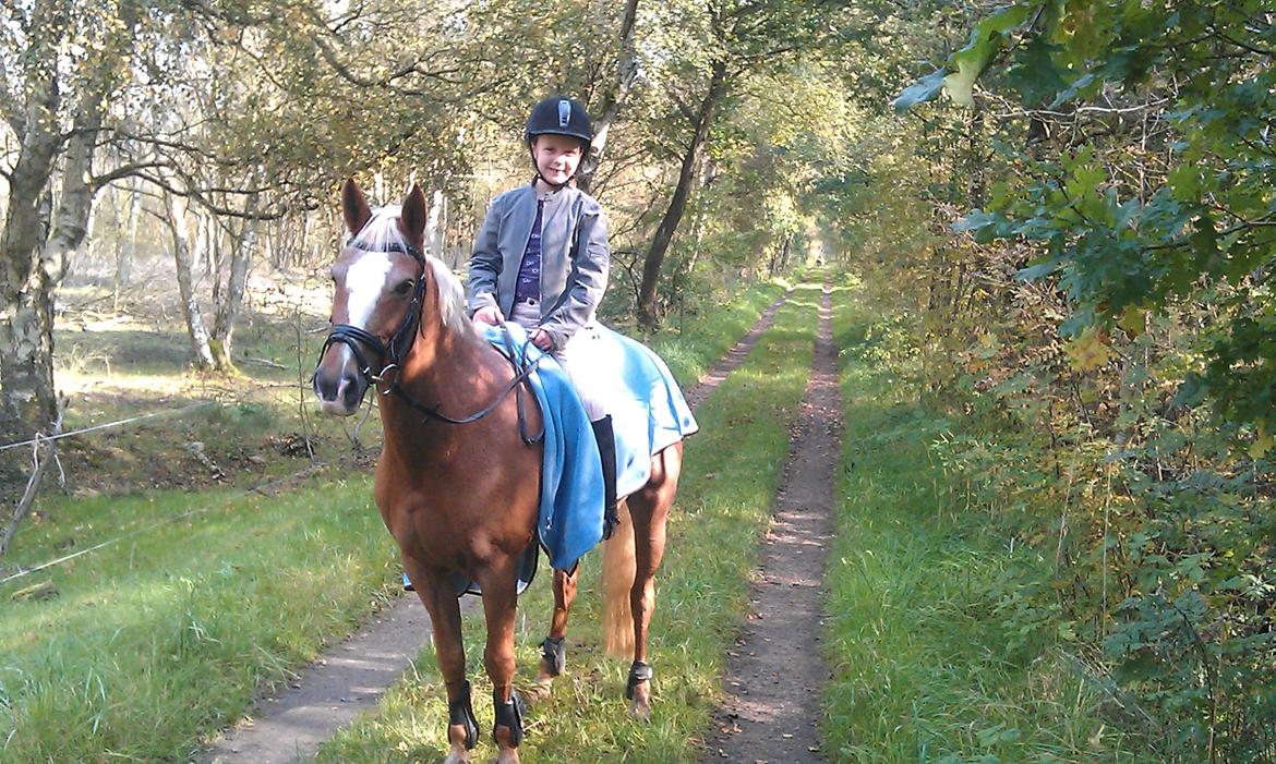 Anden særlig race Beauty - Endnu en skovtur... billede 9