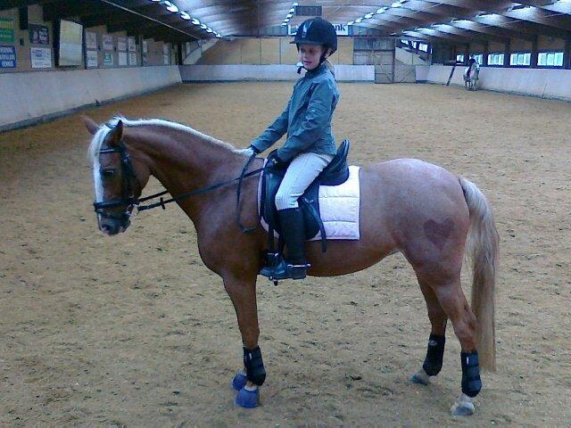 Anden særlig race Beauty - Parade. billede 14