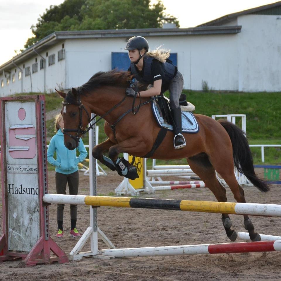 DSP LAZIONE KÆRLUND - Første springtræning på dyret :-) billede 6