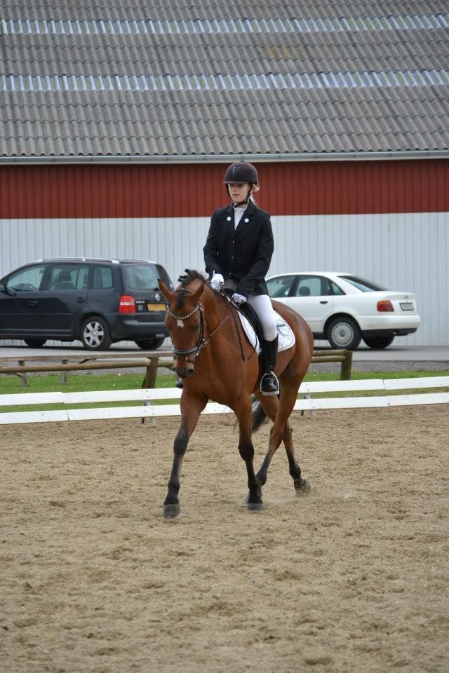 DSP LAZIONE KÆRLUND - Championat, Hjallerup billede 13