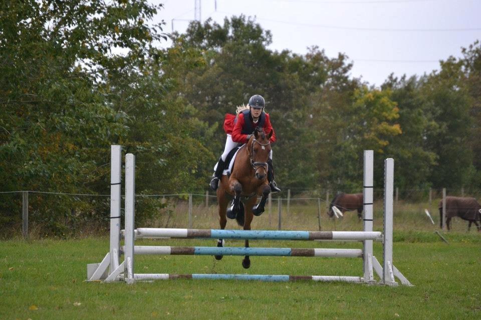 DSP LAZIONE KÆRLUND - Championat, Hjallerup billede 16