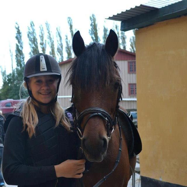 Welsh Partbred (Sec F) Got2Bee - Min skat og hans søde nye part Emma.  billede 10