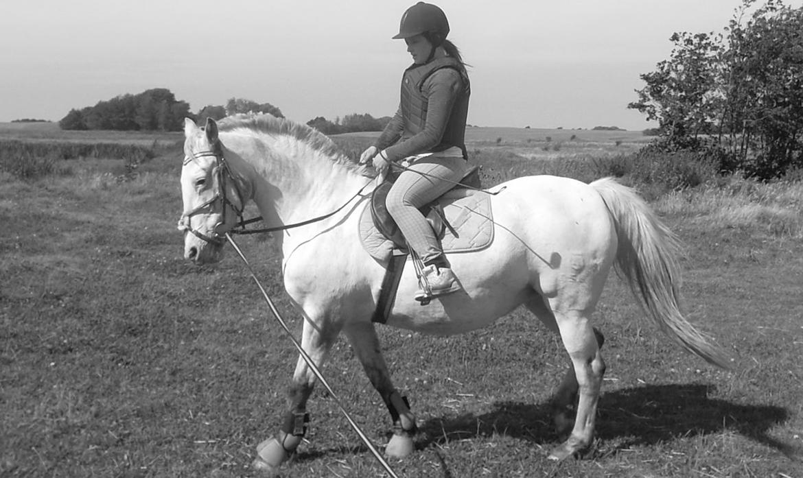 Knabstrupper Simone af lundegaard *MySoulMate! <3* - første ridetur efter 4 måneder med brækket ryg. var skønt! billede 10