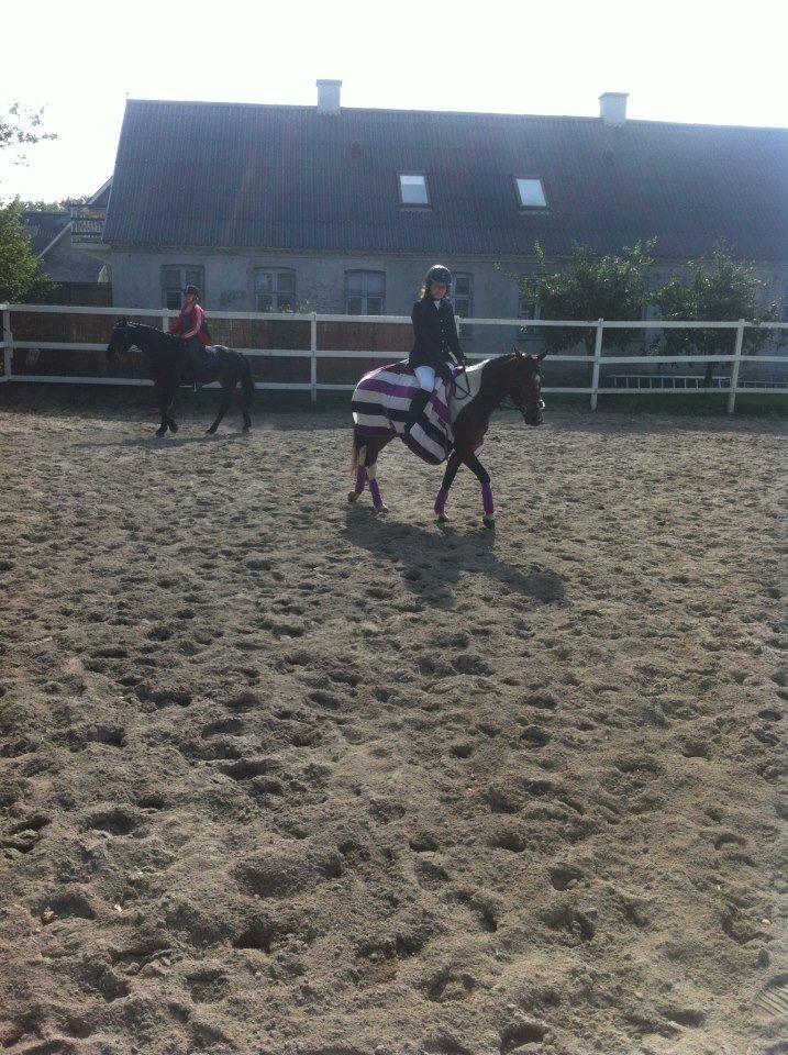 Anden særlig race Amaysing<3 billede 13