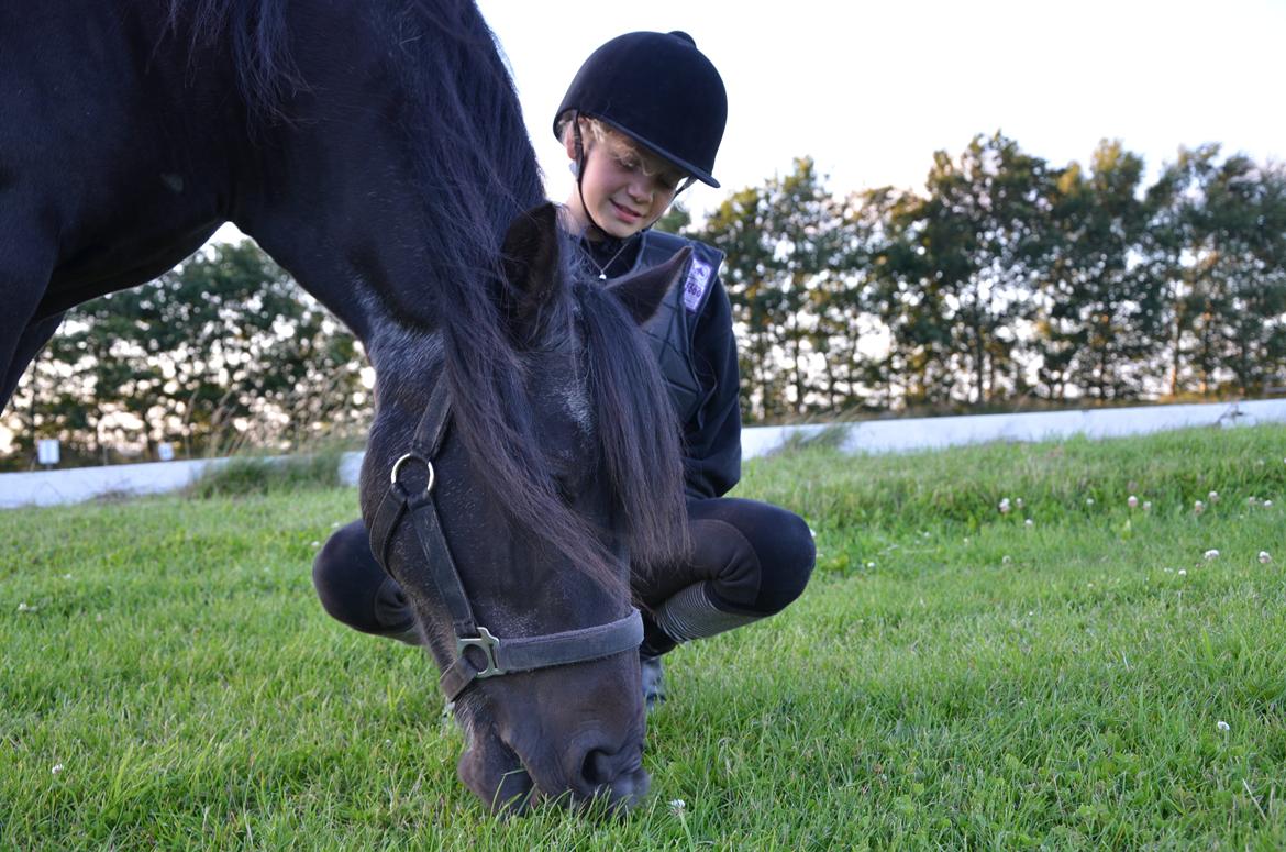 Anden særlig race Flicka - Jo mere græs jo bedre. billede 5