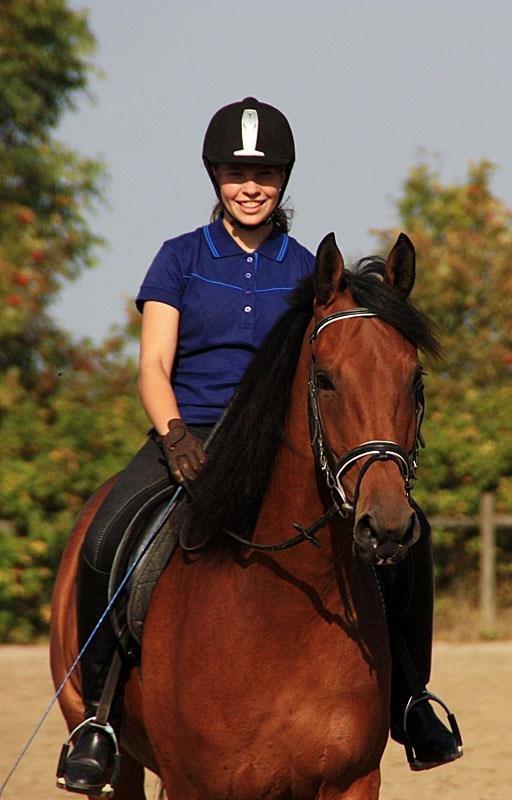 Dansk Varmblod Clair billede 2