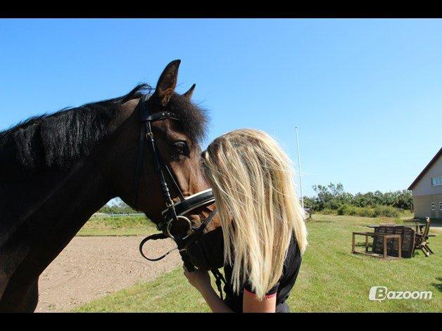 Connemara Nygårds Felix - der er intet jeg elsker mere end min dejlige pony.

FOTO: NYGAARD PHOTO billede 1