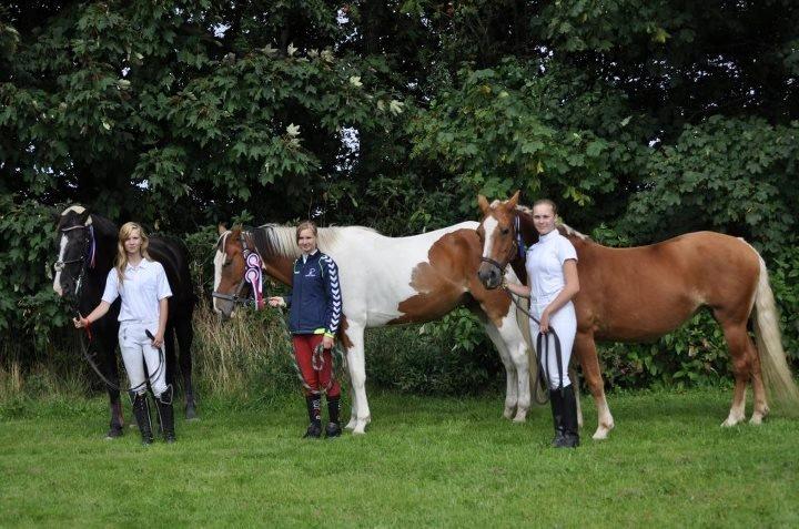 Haflinger Gipsy Solgt - Fra venstre til højer:
Josephine og Josefine, Josefine og wonderboy, mig og Gipsy
Foto: Lene billede 6