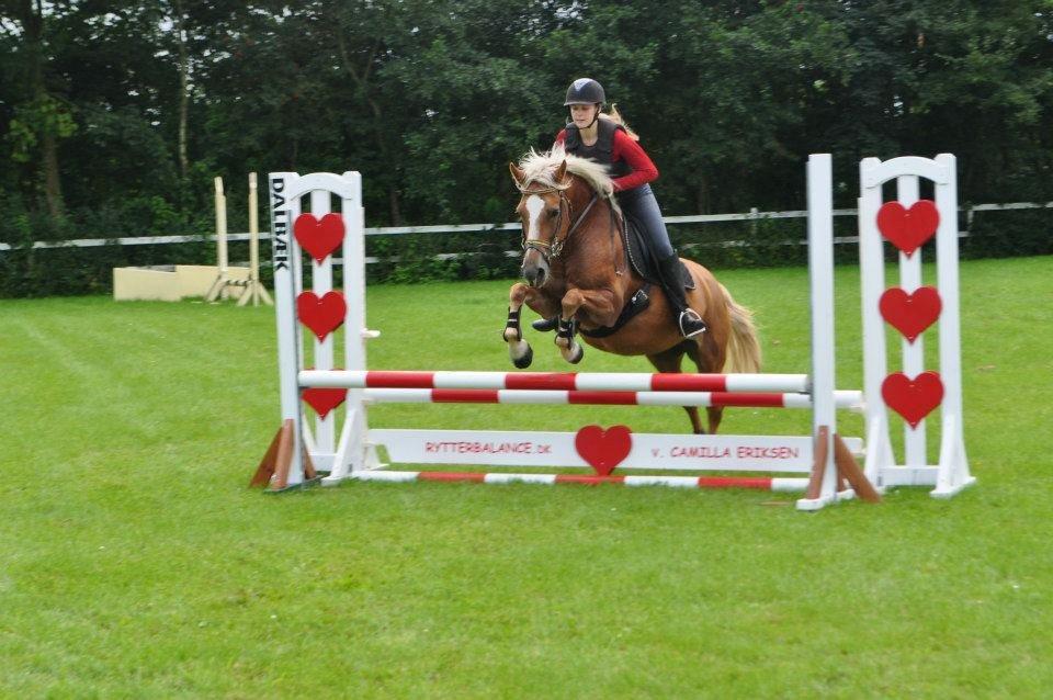 Haflinger Gipsy Solgt - Springtræning med Josephine og Isabella. Elsker jer<3<3
Foto: Josephine<3 billede 15
