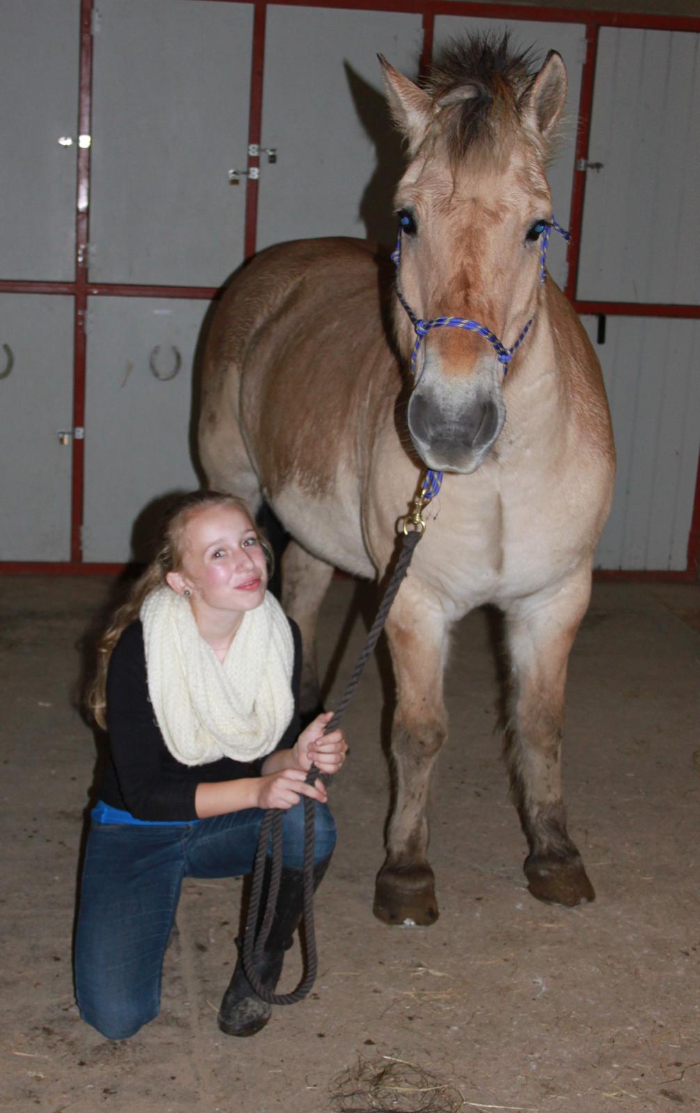 Fjordhest Rasmus :* - Af SGN foto billede 19