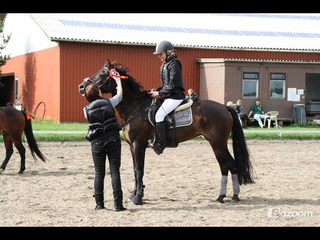 Tysk Sportspony Daalin - LB** Kongsvad rideklub. billede 19