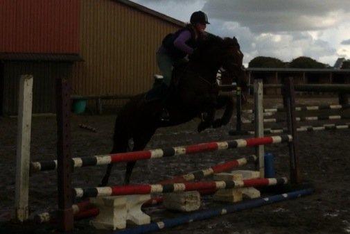 DSP Shamrocks Massa E Cozzile - 2 gang jeg springe på massa sprang på hende rade vi en LC 19/9 2012 billede 11