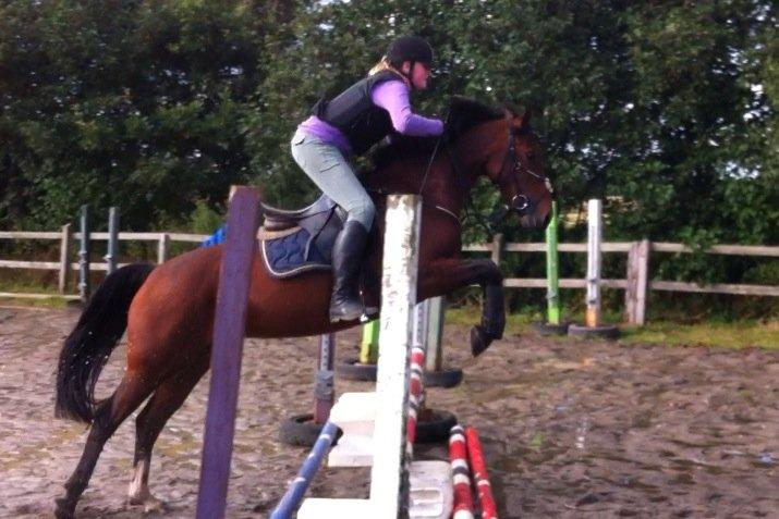 DSP Shamrocks Massa E Cozzile - 2 gang jeg springe på massa sprang på hende rade vi en LC 19/9 2012 billede 12