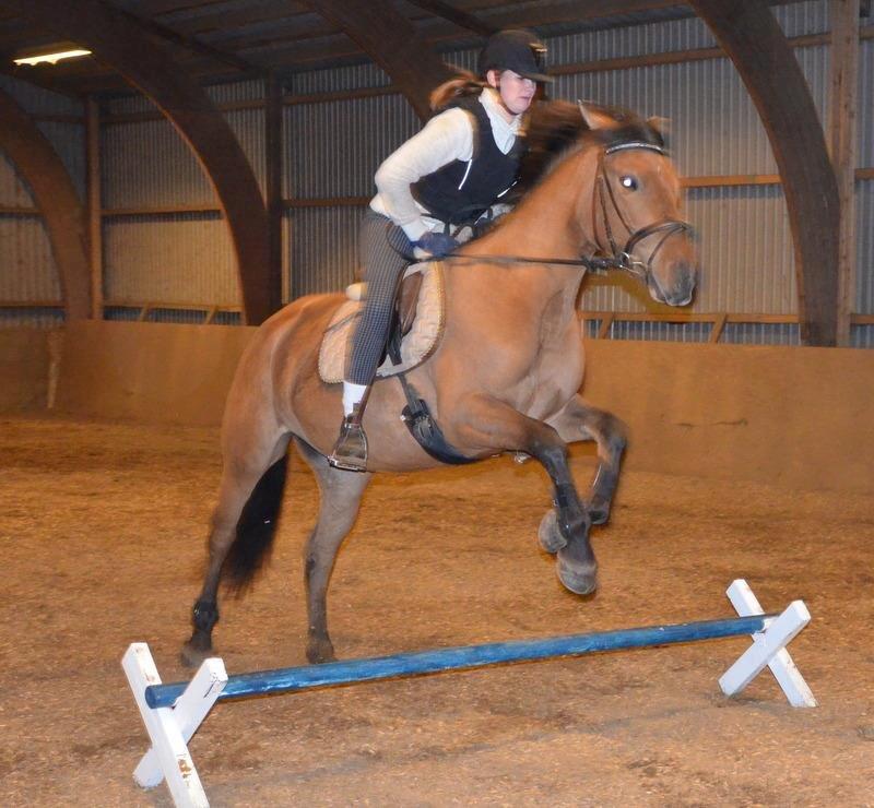 Anden særlig race Tequiro Sunset | Tio | <3 billede 13