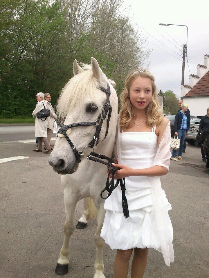 Anden særlig race Kikko - min konfirmation<3 billede 2