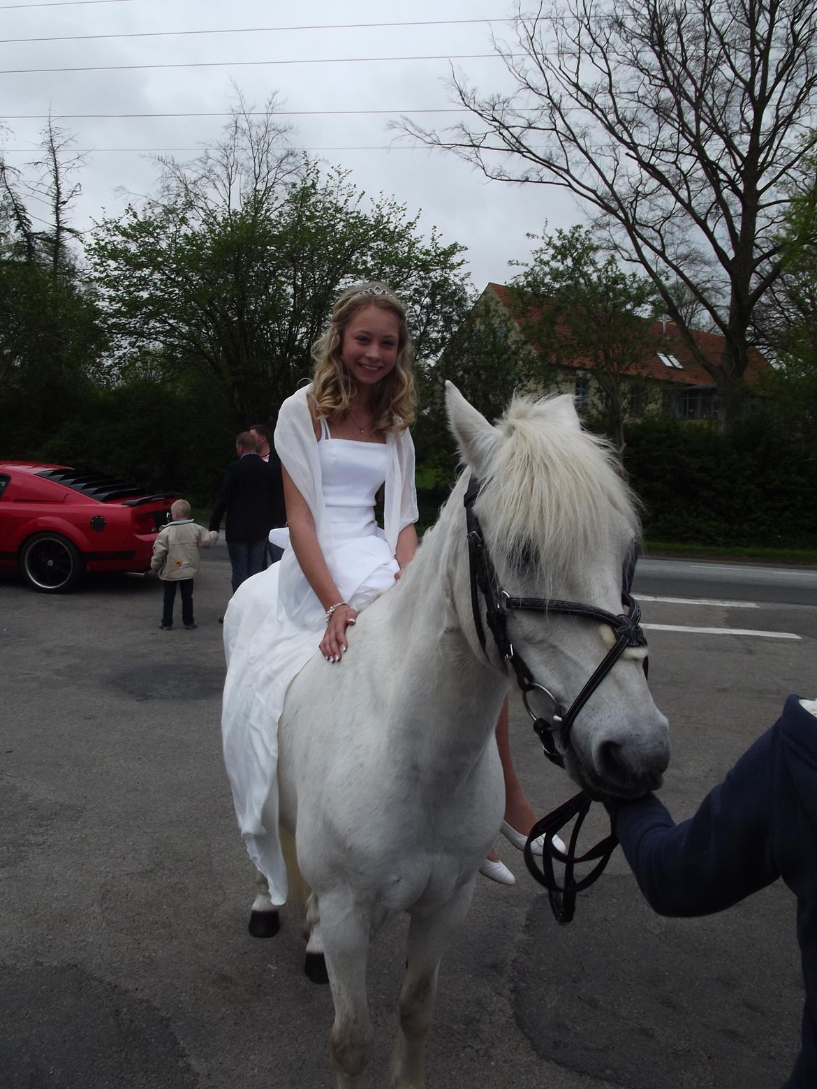 Anden særlig race Kikko - min konfirmation<3 billede 3