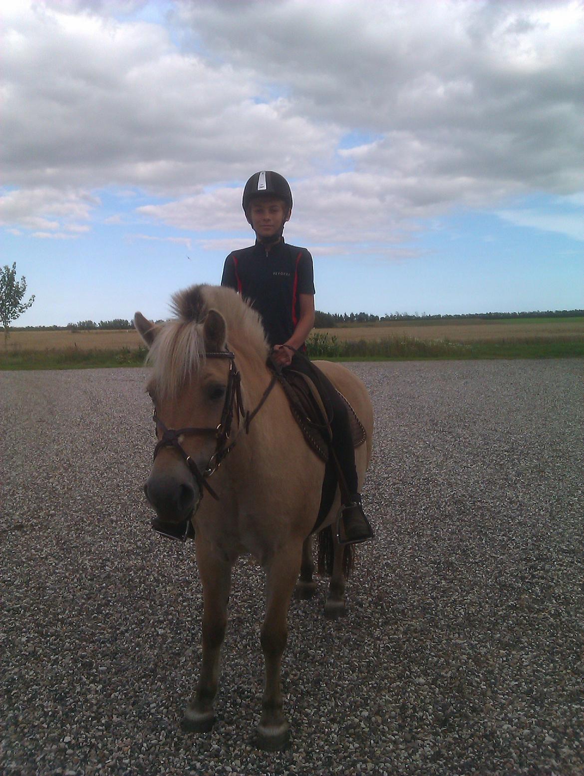 Fjordhest Ophelia min skønne pony billede 3