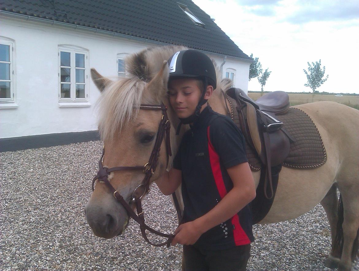 Fjordhest Ophelia min skønne pony billede 1