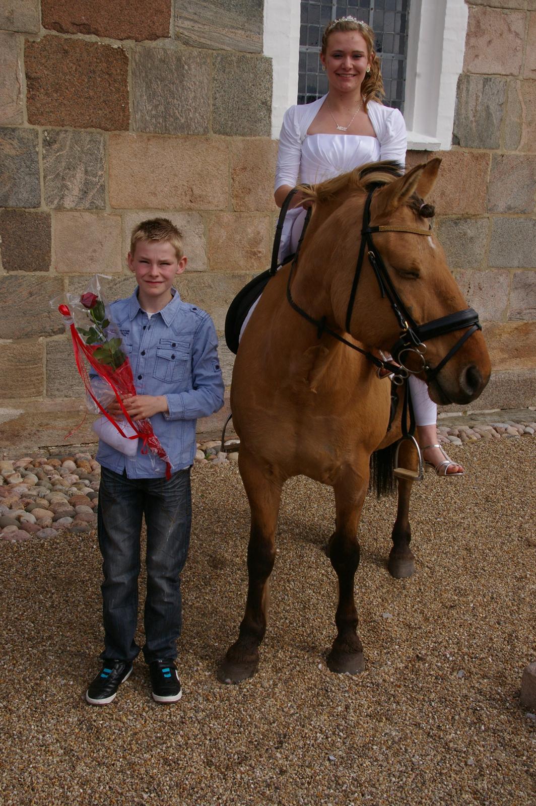 Anden særlig race Topsy SOLGT billede 12