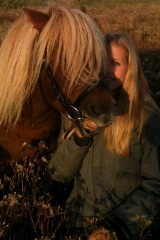 Shetlænder Cocio One billede 4