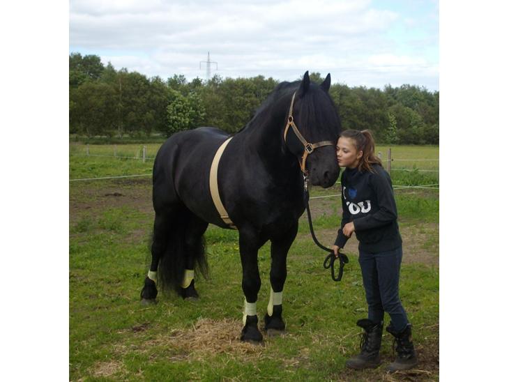 {{currentPhoto.altText}} billede {{currentPhoto.number}}