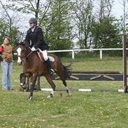 DSP Højvangs Tarif *solgt*