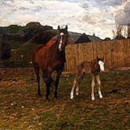 Anden særlig race Jiba (R.I.P)