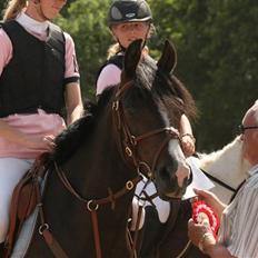 Anden særlig race ANGEL  {b-pony}