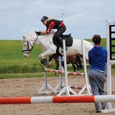 Connemara Mosevangs Cocu