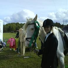 Connemara Mosevangs Cocu