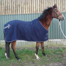 Dansk Varmblod Jeaton (aflivet)