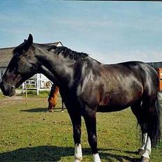 Oldenborg Loke Hjortelund