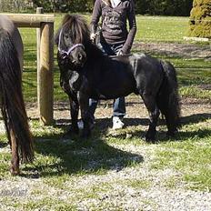 Miniature Forver Uno <'33