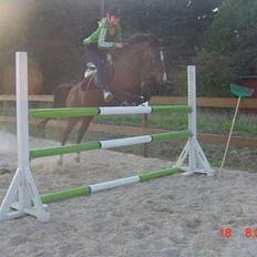 Hollandsk Sportspony Domenique<3 B-pony Soulmate