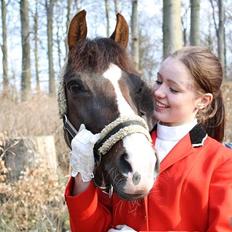 DSP Red Lady -  tidl. pony R.I.P :'(