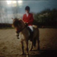 Fjordhest Elke Halsnæs (DØD)